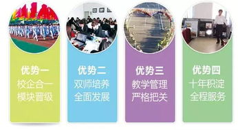 电子商务技术专业对口