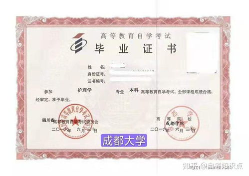 电子商务专业自考专升本kap