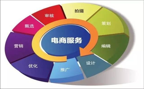 电子商务专业技术类工作