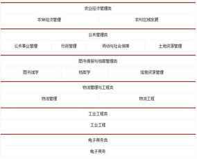 广西公务员电子商务专业