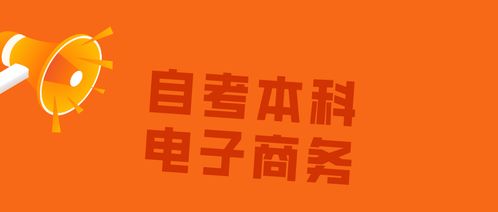 自考电子商务专业好考吗