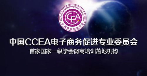 财政学和电子商务专业