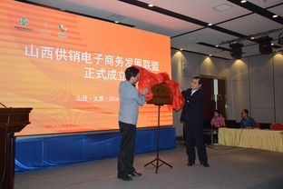 山西电子商务专业合作社