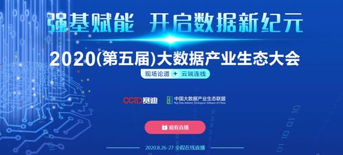 国家信息中心大数据发展部主任被查，大数据治理的严峻时刻与未来展望